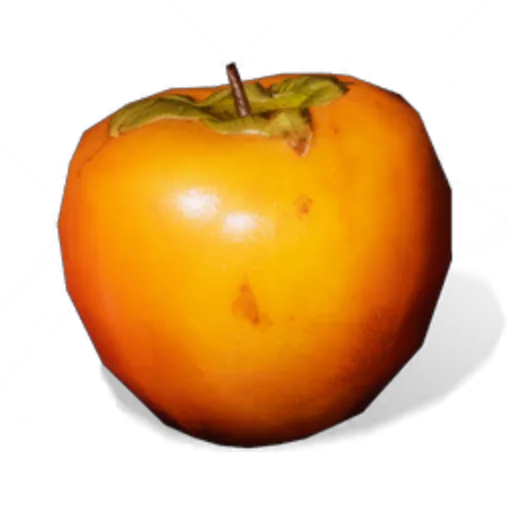 Giant Persimmon