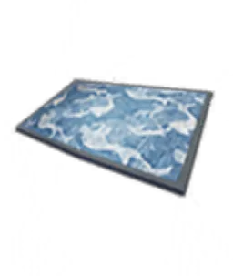 Bordered Rug