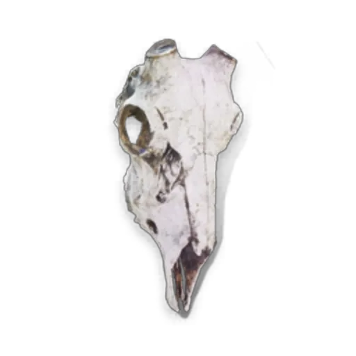 Key of Formless - Severed Thoughts
