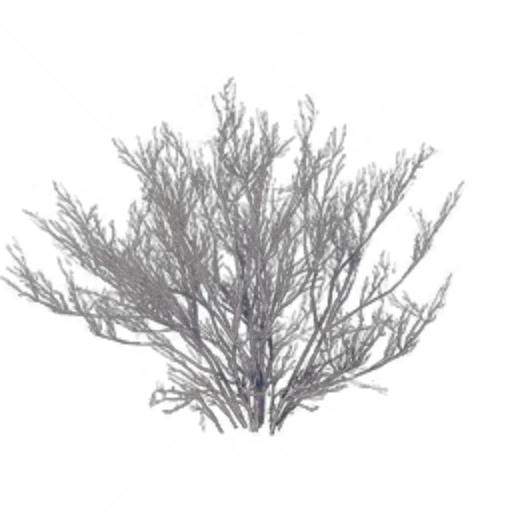 Weeds