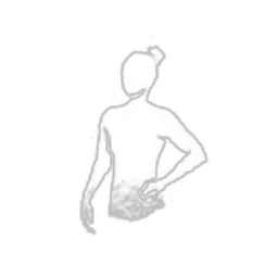 Rest on Chair - Body Type I
