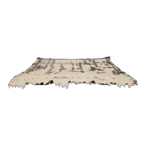 Canopy Roof