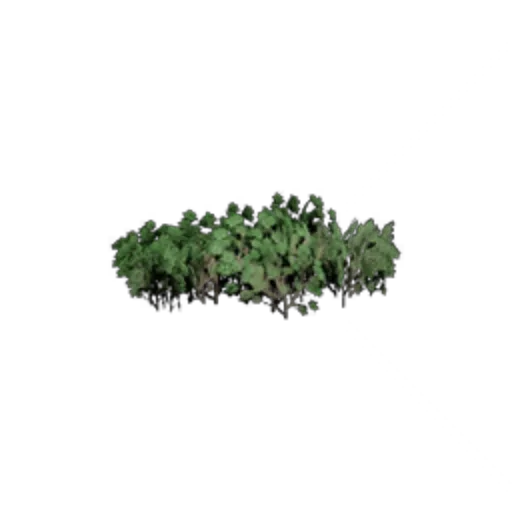 Surface: Bush