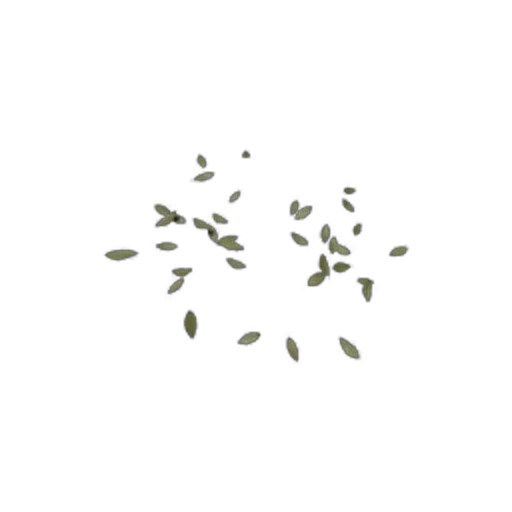 Tree Leaf
