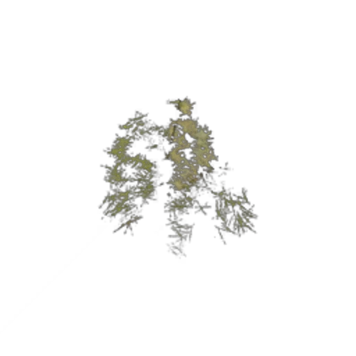 Surface: Grass