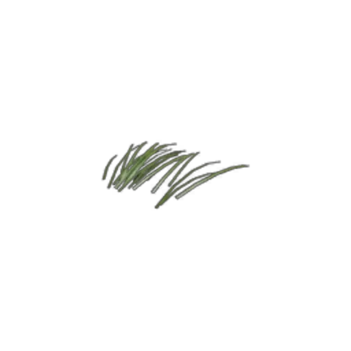 Surface: Bush