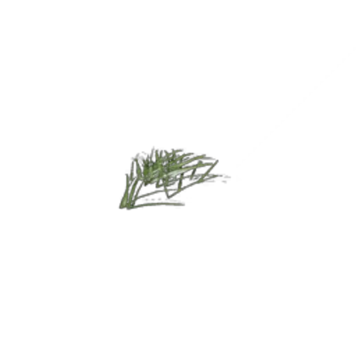 Surface: Bush