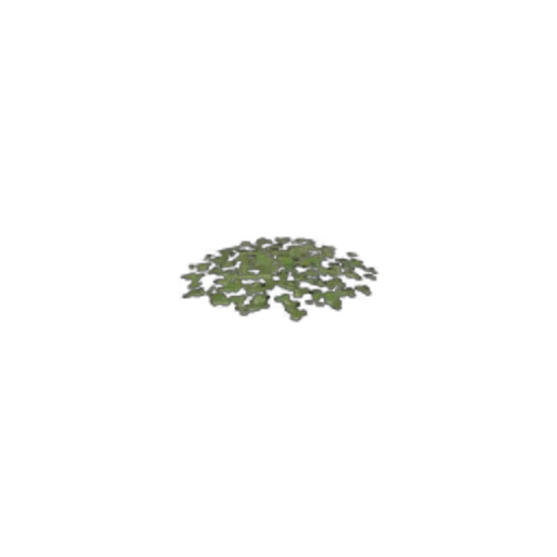 Clover
