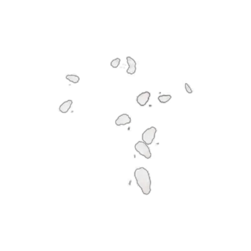 Surface: Paulownia Flower