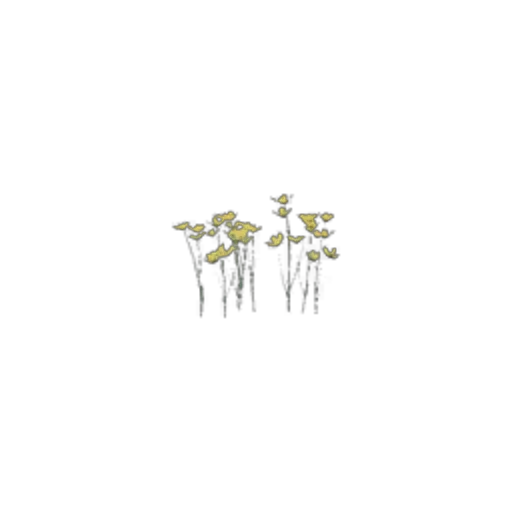 Surface: Yellow Flower