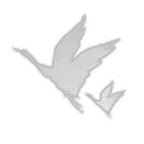 Crane - Flap Wings