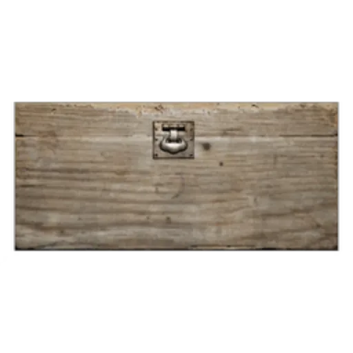 Chest