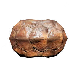 Small Turtle