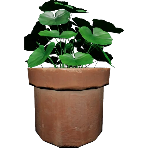Lotus Leaves
