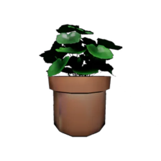 Potted Plant