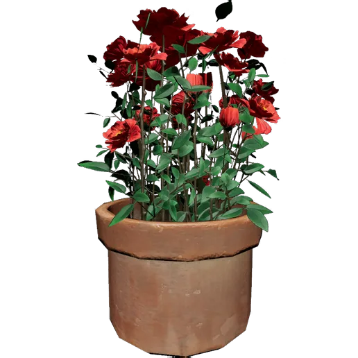 Red Peony 2