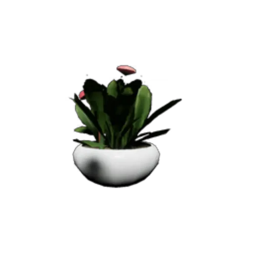 Potted Plant