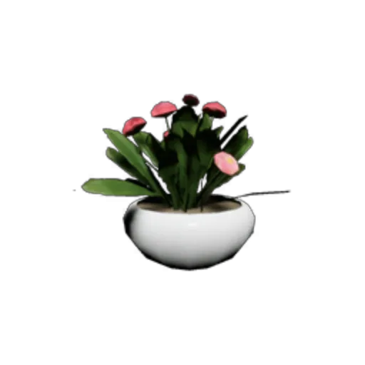 Potted Plant