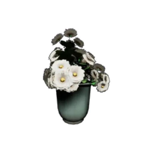 Potted Plant