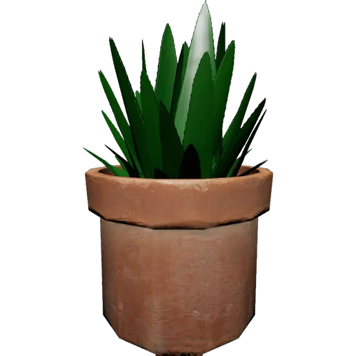 Aloe