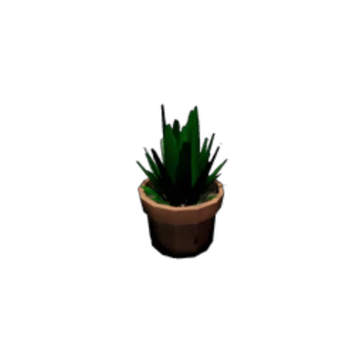 Aloe