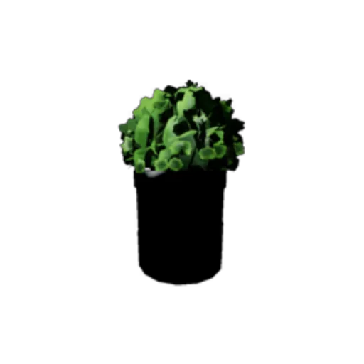 Potted Plant