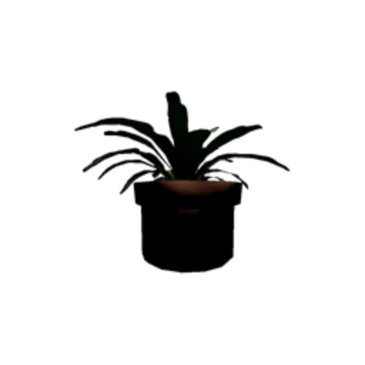 Potted Plant