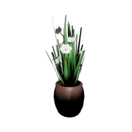 Daffodil