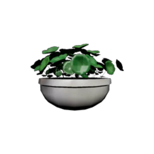 Potted Plant