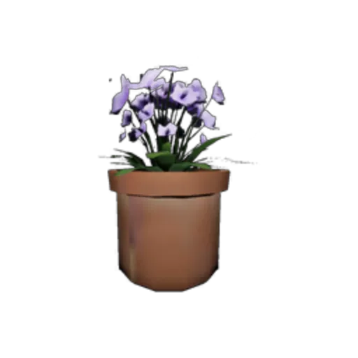 Potted Plant