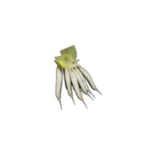 Radish