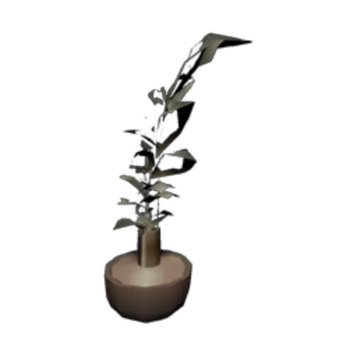 Potted Plant
