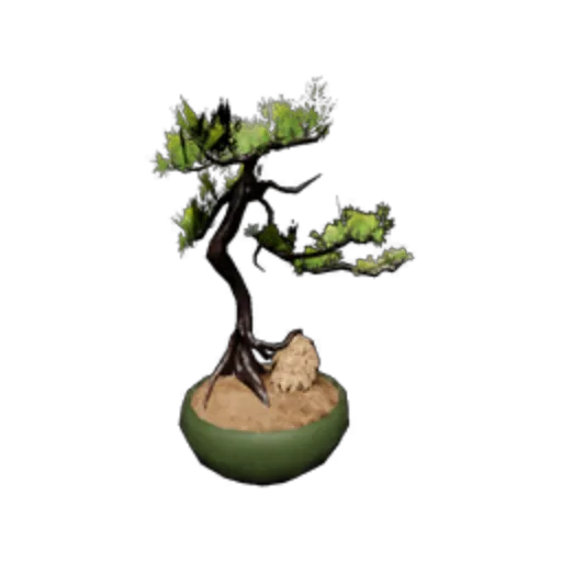 Potted Plant