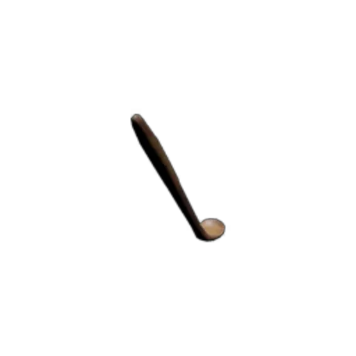 Spoon