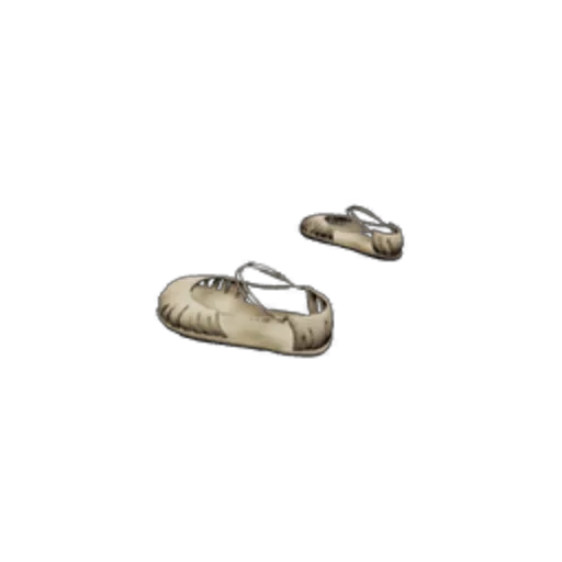 Straw Shoes