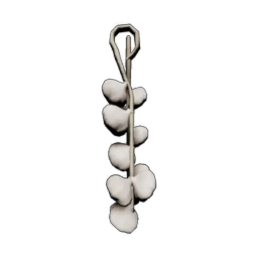 Hanging Garlic