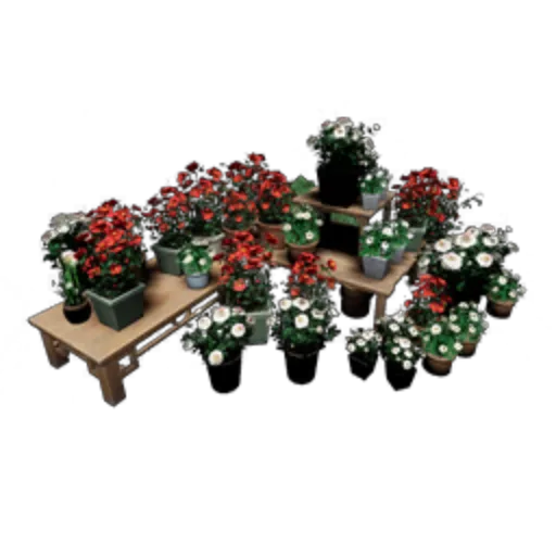Flower Pot Combo II