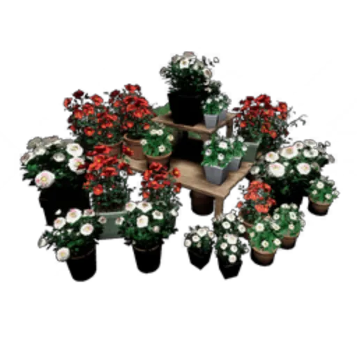 Flower Pot Combo III