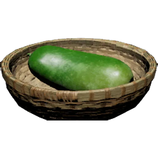 Winter Melon