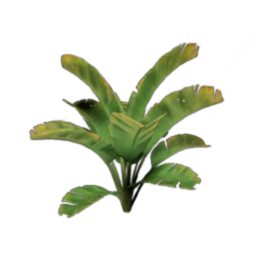 Broadleaf Greenery