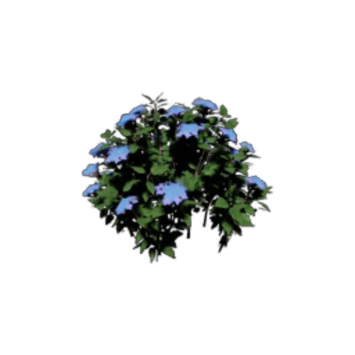 Blue Flower Grass - Large