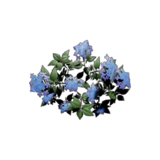 Blue Flower Grass - Small