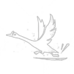 Goose - Dash