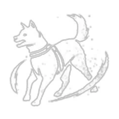 Shiba Inu - Pat Head