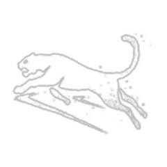 Leopard - Prowl