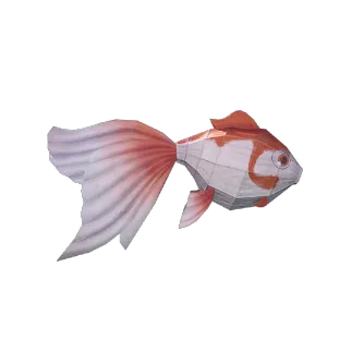 Moonward Carp