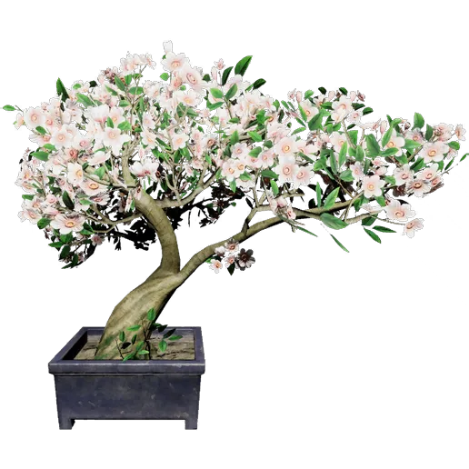 Crabapple