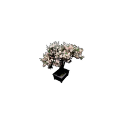 Potted Plant