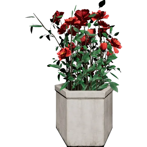 Red Peony 3