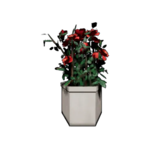 Potted Plant